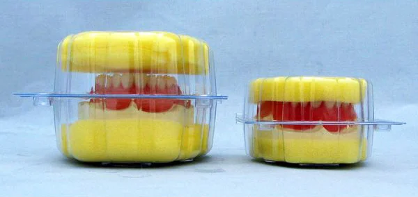 デンタルモデルケース – 東邦歯科産業株式会社